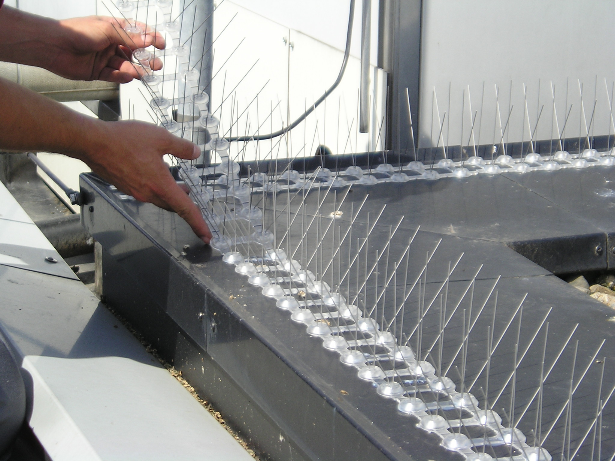 Point system vogelwering